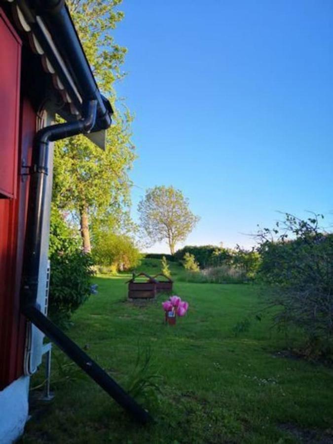 Unikt Laege Med Stora Alvaret Som Naermsta Granne